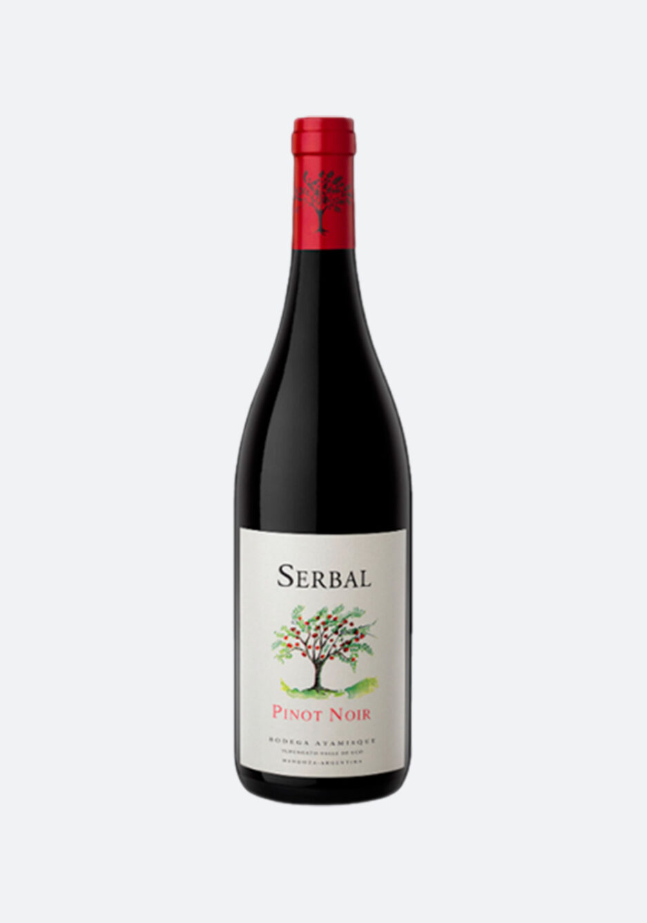 Pinot Noir 2019, Serbal